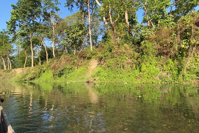 1 Night 2 Days Chitwan Jungle Safari Tour - Chitwan in Two Days: What Your Time Actually Buys
