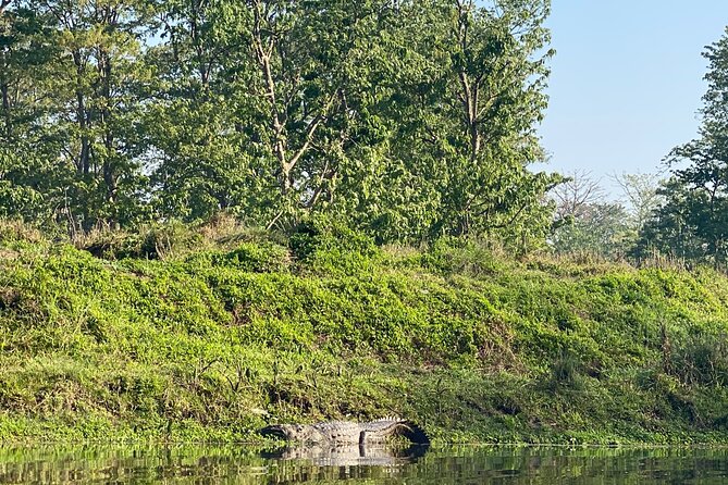 1 Night 2 Days Chitwan Jungle Safari Tour - River Boat Ride with Commentary: The Quiet Mode of Safari