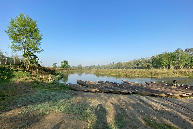 1 Night 2 Days Chitwan Jungle Safari Tour - Meals, Hotel, and Park Fees: Where the $155 Value Really Shows