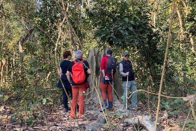 1 Night 2 Days Chitwan Jungle Safari Tour from Kathmandu - Meals, included activities, and why the $155 price can work