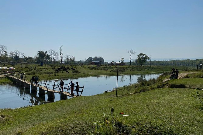 1 Night 2 Days Chitwan Jungle Safari Tour from Kathmandu - Coordination and timing: the main thing that can make or break Day 1