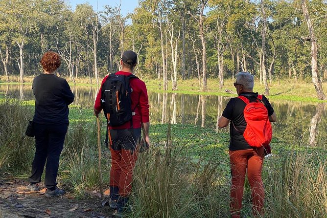 1 Night 2 Days Chitwan Jungle Safari Tour from Kathmandu - Comfort and logistics: what to expect on the ground