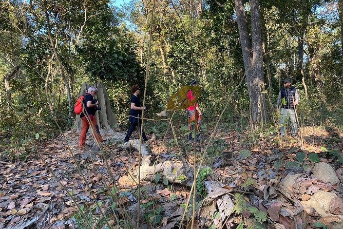 1 Night 2 Days Chitwan Jungle Safari Tour from Kathmandu - Should you book the 1-night 2-day Chitwan Jungle Safari from Kathmandu?