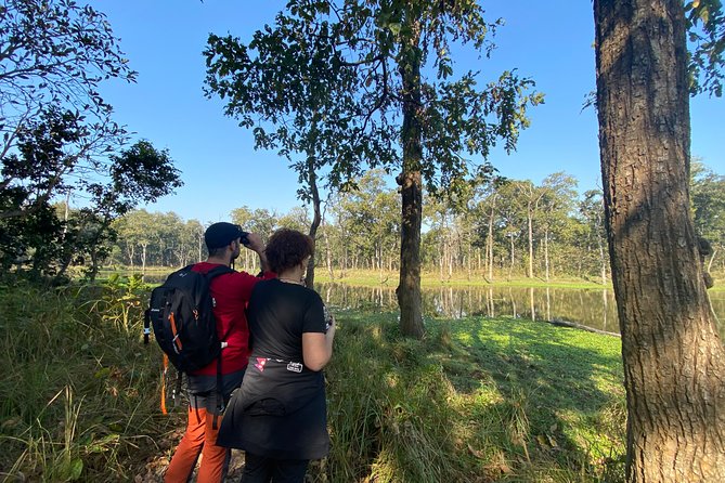1 Night 2 Days Chitwan Jungle Safari Tour from Pokhara or Kathmandu - Wildlife Odds in Chitwan: Rhinos, Crocs, Big Birds, and Maybe More