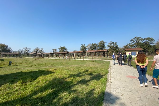 1 Night 2 Days Chitwan Jungle Safari Tour from Pokhara or Kathmandu - Food and Hotel: Included Comfort for a 2-Day Nature Hit