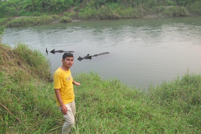 10 Day Kathmandu, Nagarkot, Chitwan, Lumbini, Pokhara Luxury Tour in Nepal - Chitwan National Park: Jeep safari plus canoe ride plus Tharu culture