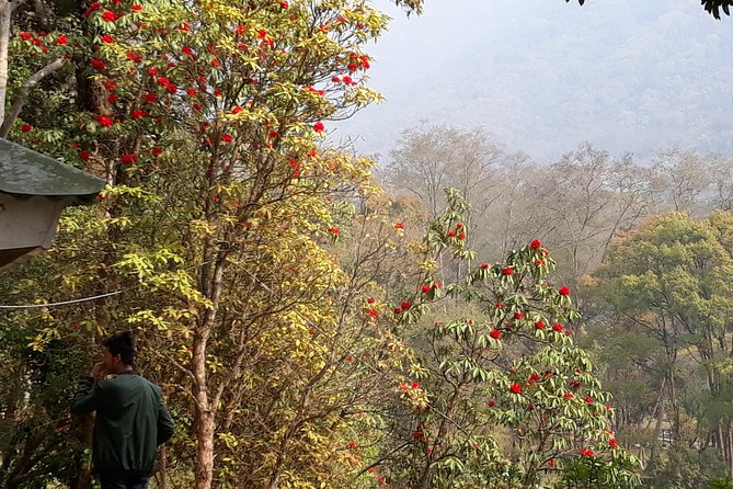 10 days Annapurna Base Camp Trek - Days 5–6: Deurali to Annapurna Base Camp via Machhapuchhre Base Camp