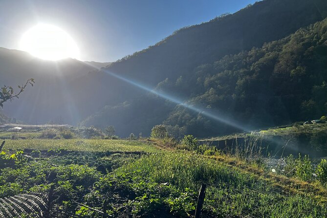 10 days Annapurna Base Camp Trek - Days 7–8: Down to Jhinu Danda, then the Modi River to Nayapul