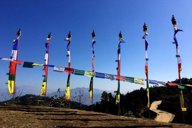 10 Days Annapurna Base Camp Trek from Kathmandu - Day 5: Dovan to Deurali, bamboo and rhododendron season energy