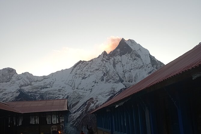 10 Days Annapurna Base Camp Trekking - Day 4: Deurali via Kuldi, Bamboo, and the Modi Khola valley work