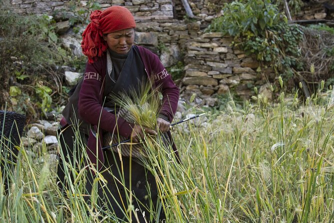 10 Days Manaslu Circuit Trek in Larke La Pass - Bhimtang to Dharapani, then Besisahar and back to Kathmandu