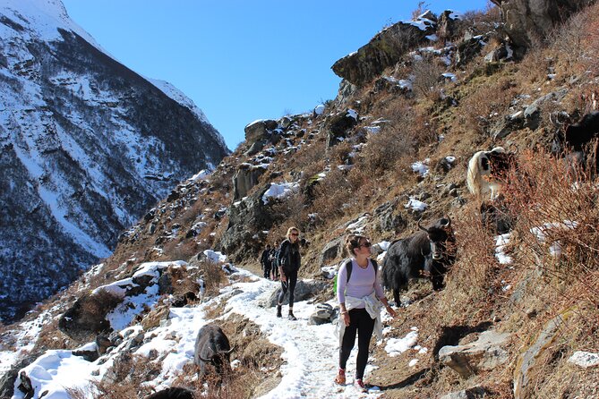 10-Days Private Langtang Valley Trek in Nepal - Back to Kathmandu: use the buffer for real recovery
