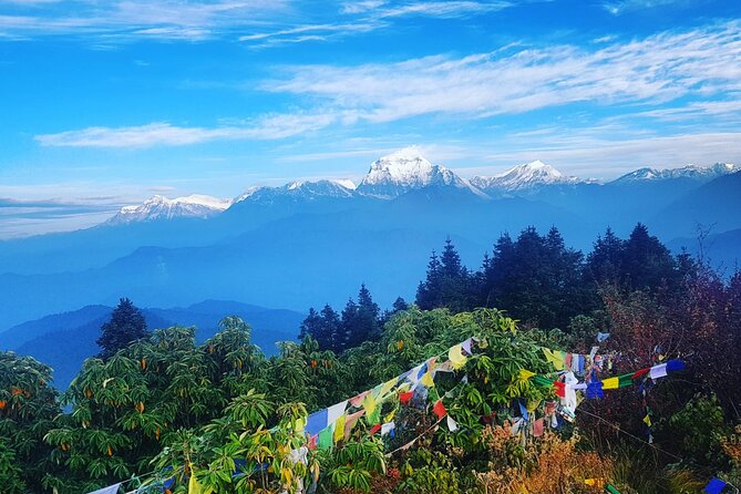 11-Day Hike Tour to Annapurna Base Camp Bliss in Kathmandu - Tikhedhunga and Ulleri stairs: the trek’s first reality check