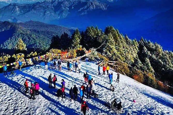11-Day Hike Tour to Annapurna Base Camp Bliss in Kathmandu - Deurali and the rhododendron climb: when the air gets serious