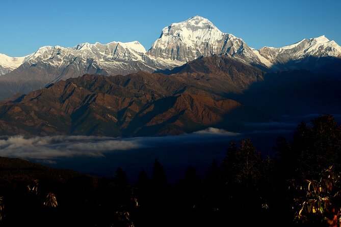 12-Day Nepal Adventure Trek with Jungle Safari - Poon Hill Sunrise: The View That Makes This Trek Click