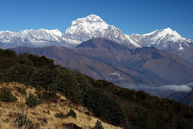 12-Day Nepal Adventure Trek with Jungle Safari - Price and Logistics: What $950 Buys You, and What Costs Extra