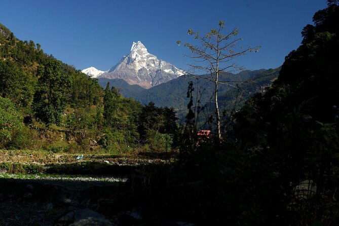 12-Day Nepal Adventure Trek with Jungle Safari - The Pokhara Drive (Day 3): Scenic River Route and Trek Setup