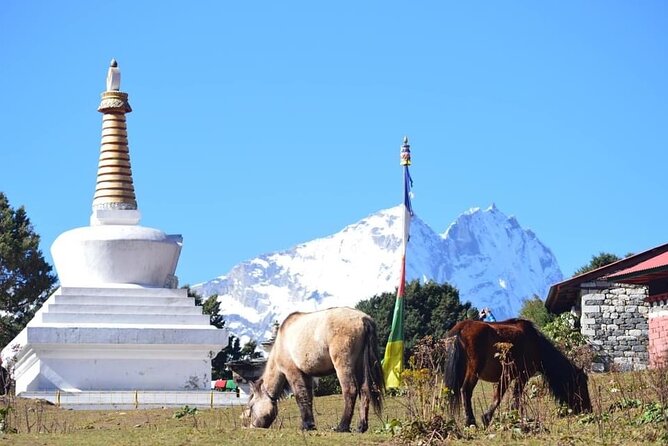 12 Day Private Mt. Everest View Luxury Trek - Namche Bazaar: Everest Views Plus the Acclimatization Day