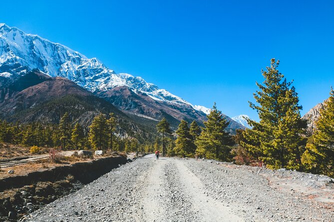 12 days Annapurna Circuit Trek - Chame, Upper Pisang, and Geru: the Manang District shift to higher, drier air
