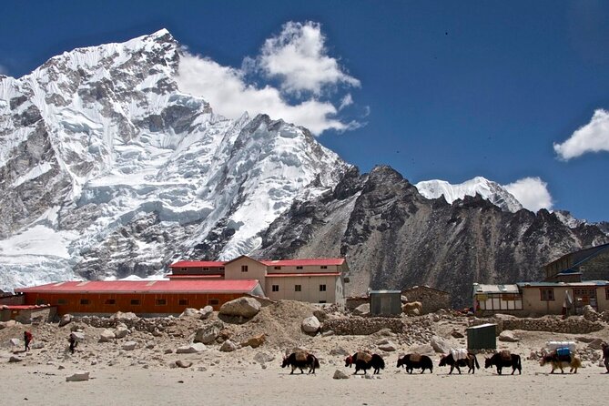12 Days Everest Base Camp Trek - Lobuche, Thukla Pass, and Gorakshep: Where the Air Changes