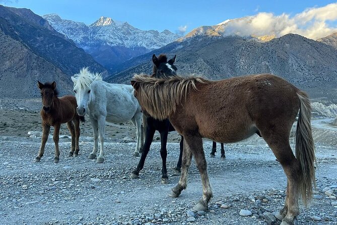 12 Days Overland Tour to Upper Mustang - Day 2 Kathmandu Valley: Culture Without the Rush