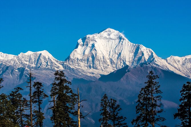 12 Days Trek Tour in Nepal - Nangi day: villages, Magar culture, and school time