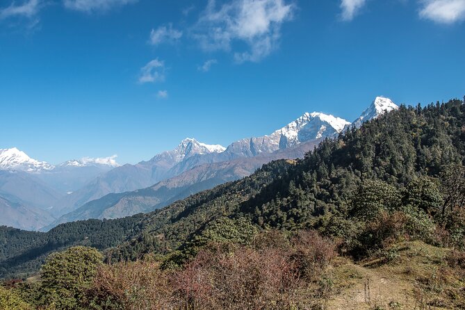 12 Days Trek Tour in Nepal - The hardest day: the climb toward Mohare Danda’s sunrise country