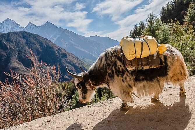 13-Day Private Trekking Experience in Everest Base Camp - Khumjung, Khunde, and the Everest view hotel: acclimatization with real payoff