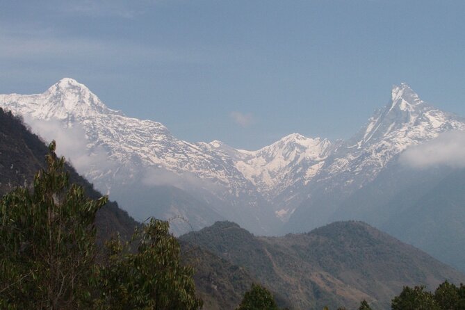14-Day Annapurna Base Camp Trek from Kathmandu - Trek Day 5: Ulleri climb to rhododendron forests and Machhapuchhare views