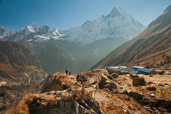 14 days Annapurna Base Camp Trek - Ghorepani and the rhododendron-pine corridor