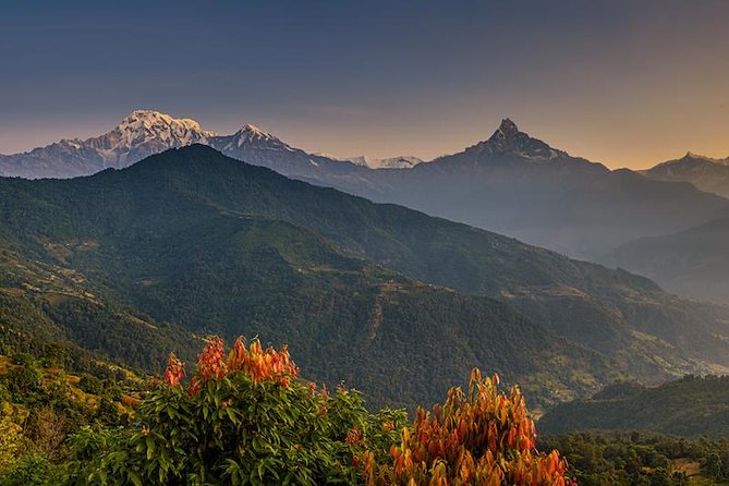 14 days Annapurna Base Camp Trek - Poon Hill sunrise: worth the early alarm