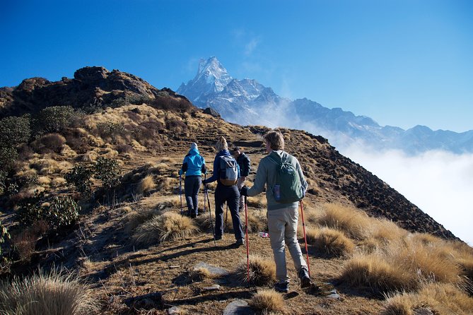 14 days Annapurna Base Camp Trek - The long step day: Chhomrong River down, Sinuwa and Bamboo Village up