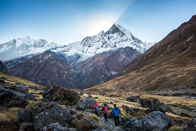 14 days Annapurna Base Camp Trek - Hinku Cave and Macchapuchare Base Camp: basecamp feeling without ABC pressure