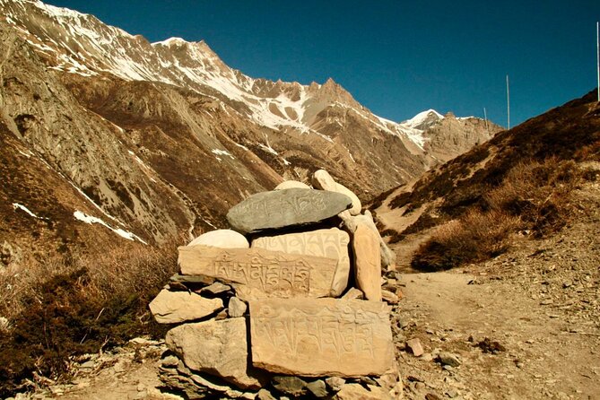 14 Days Annapurna Circuit Trek - Chame to Pisang: forests, bridges, and those first high views