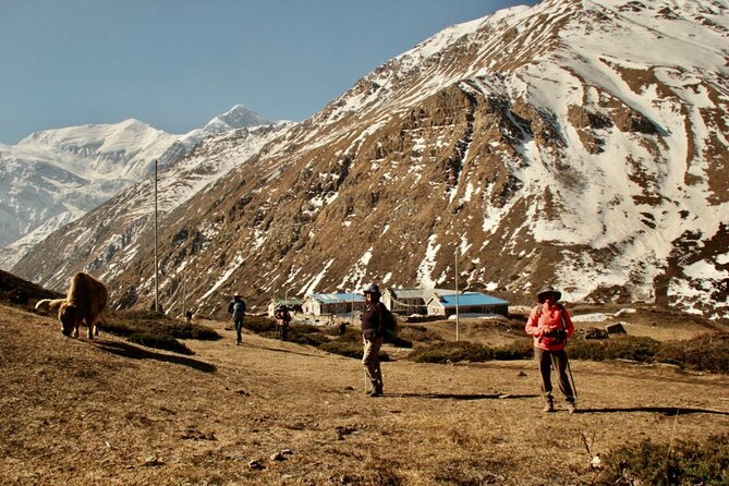 14 Days Annapurna Circuit Trek - The Manang acclimatization day: your altitude insurance policy