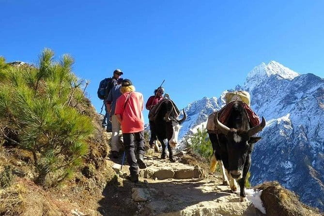 14 Days Everest Base Camp Trekking - Lobuche, Gorakshep, and the approach to Everest Base Camp