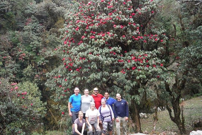 14 Days Luxury Annapurna Base Camp Trek - Annapurna Base Camp day: pacing matters when oxygen thins out