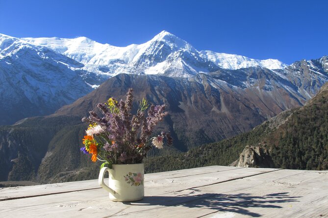 15-Day Private Annapurna Circuit Trek from Kathmandu - Thorong La Pass staging: what the camp nights are really doing