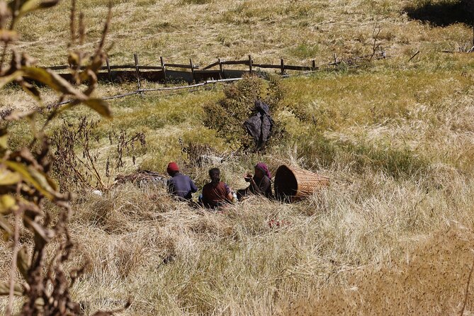 15 Days Manaslu Circuit Trek - Day 9 and beyond: rest day at Samagaun, then Samdo and Dharmasala
