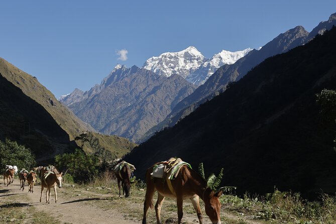 15 Days Manaslu Circuit Trek - Day 13 to Day 14: Dharapani, Tilije upgrades, and the drive back to Kathmandu
