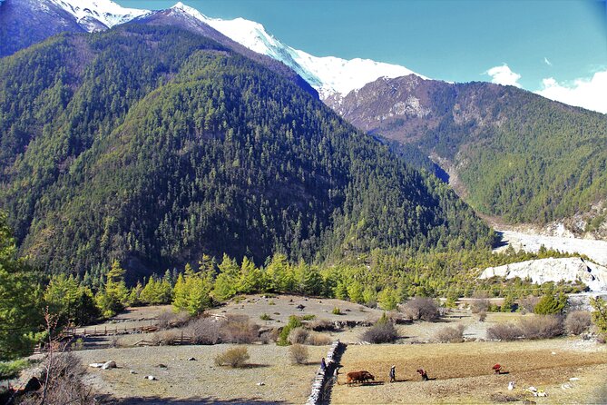 15 Days Round Annapurna Trek with Poon Hill from Pokhara - Kathmandu Night Before the Trail: Thamel, Hotel Check-in, and the Briefing