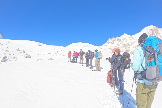 16 Day Private Manaslu Circuit Trek from Kathmandu - Tilche: rhododendron jungle walking to a Gurung village