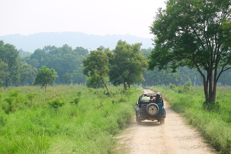 2 Days Chitwan Jungle Safari Tour from Pokhara/Kathmandu - Where you stay: Rainbow Safari Resort and what actually makes it feel good