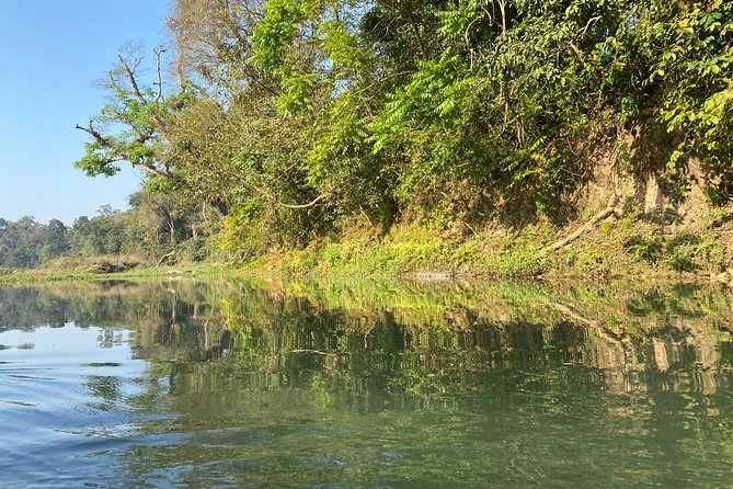 2 Nights 3 Days Chitwan Safari Tour from Kathmandu or Pokhara - Day 3: Bird Watching Morning and Your Return to Kathmandu or Pokhara