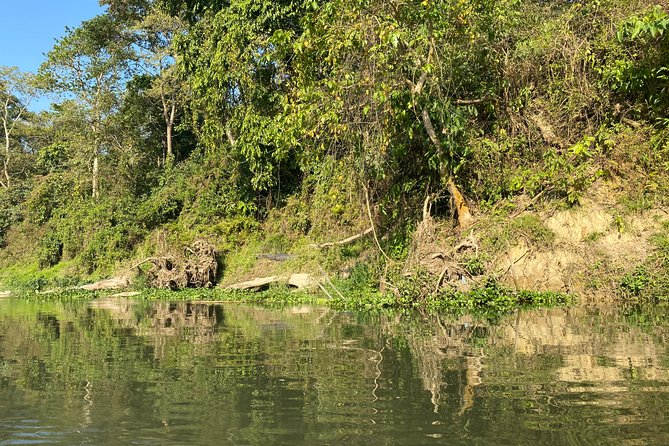 2 Nights 3 Days Chitwan Safari Tour from Kathmandu or Pokhara - FAQ