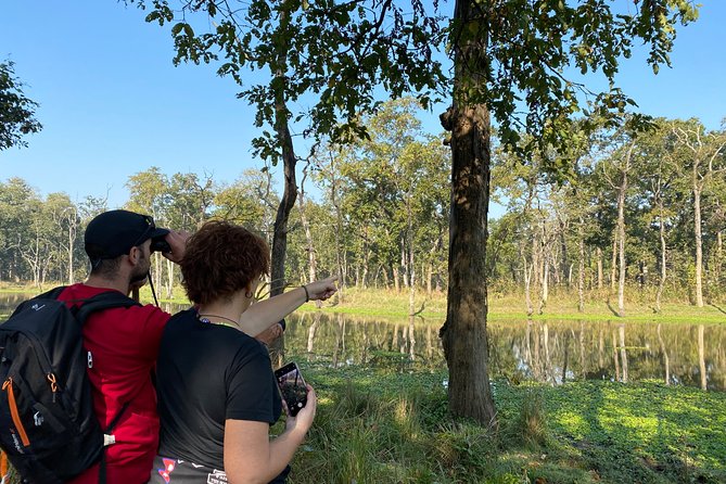 2 Nights 3 Days Chitwan Safari Tour from Kathmandu or Pokhara - Day 2: Jeep Safari, Jungle Activities, and the Tharu Culture Show