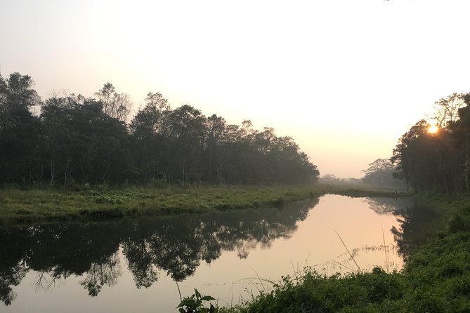 2 Nights 3 Days Chitwan Wildlife Jungle Safari Package Tour - Day 2: canoe on Rapti, jungle walk views, then jeep safari