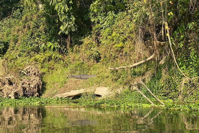 2 Nights 3 Days Chitwan Wildlife Jungle Safari Package Tour - Day 1: Tharu village, visitor centre, and a Rapti River sunset