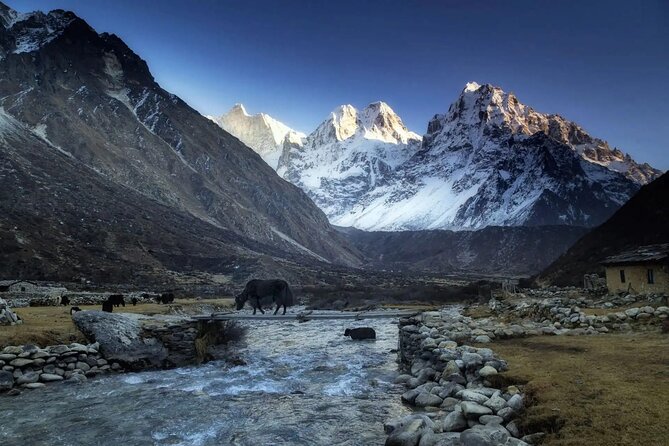 20 Days Private Kanchenjunga Circuit Trek - Should You Book the 20 Days Private Kanchenjunga Circuit Trek?