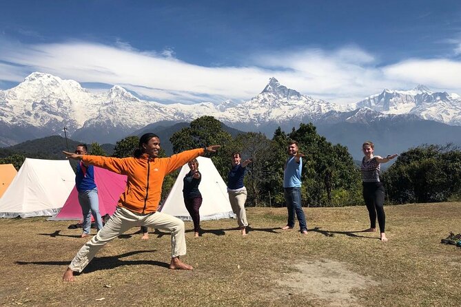 200 Hrs Yoga Teachers Training Yoga Alliance - The Himalayan Trek Opportunity (3–5 Days): What to Expect